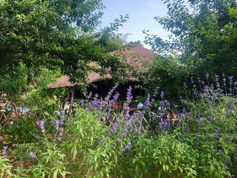 Savana Moc Chau Bed & Breakfast Luaran gambar