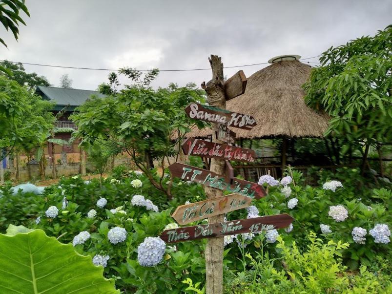 Savana Moc Chau Bed & Breakfast Luaran gambar