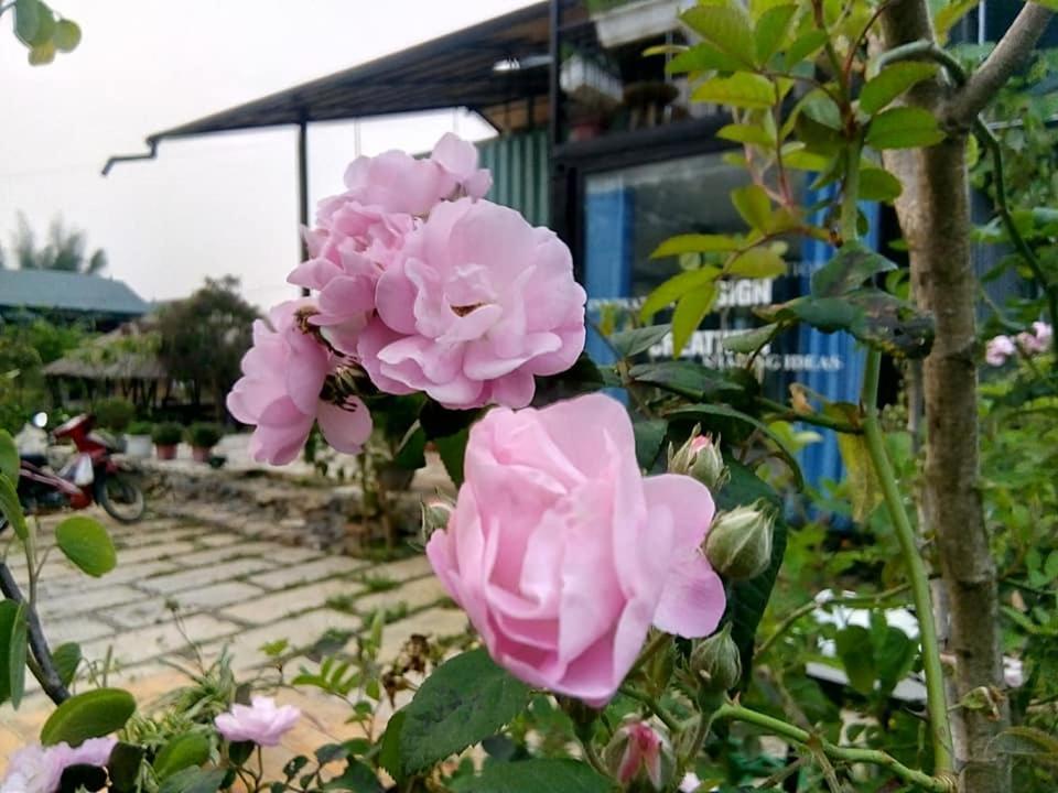 Savana Moc Chau Bed & Breakfast Luaran gambar