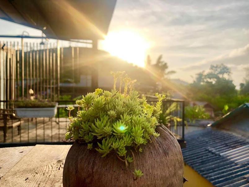 Savana Moc Chau Bed & Breakfast Luaran gambar